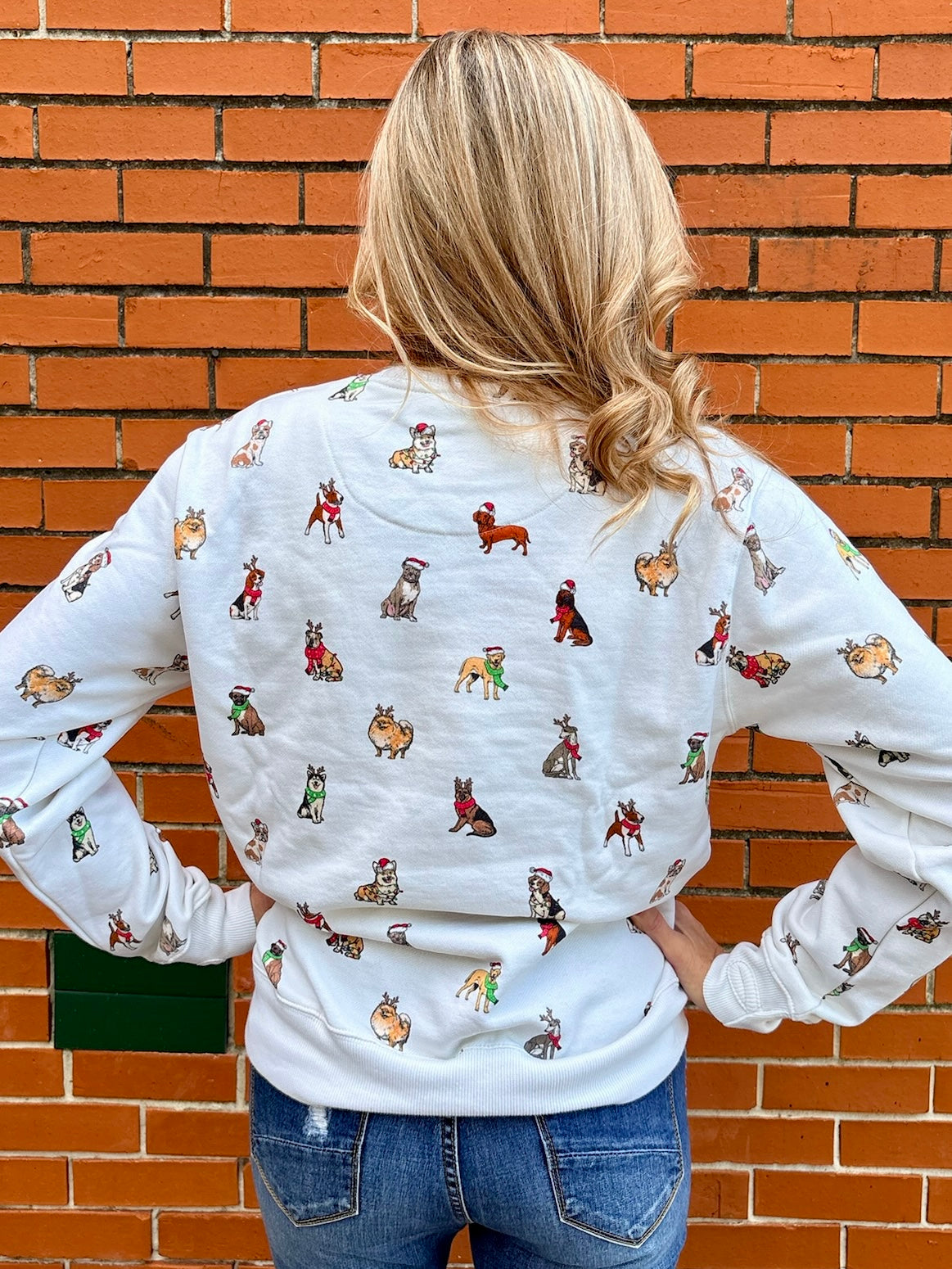 Holiday Dogs on Repeat Sweatshirt at ooh la la! In Grapevine TX 76051