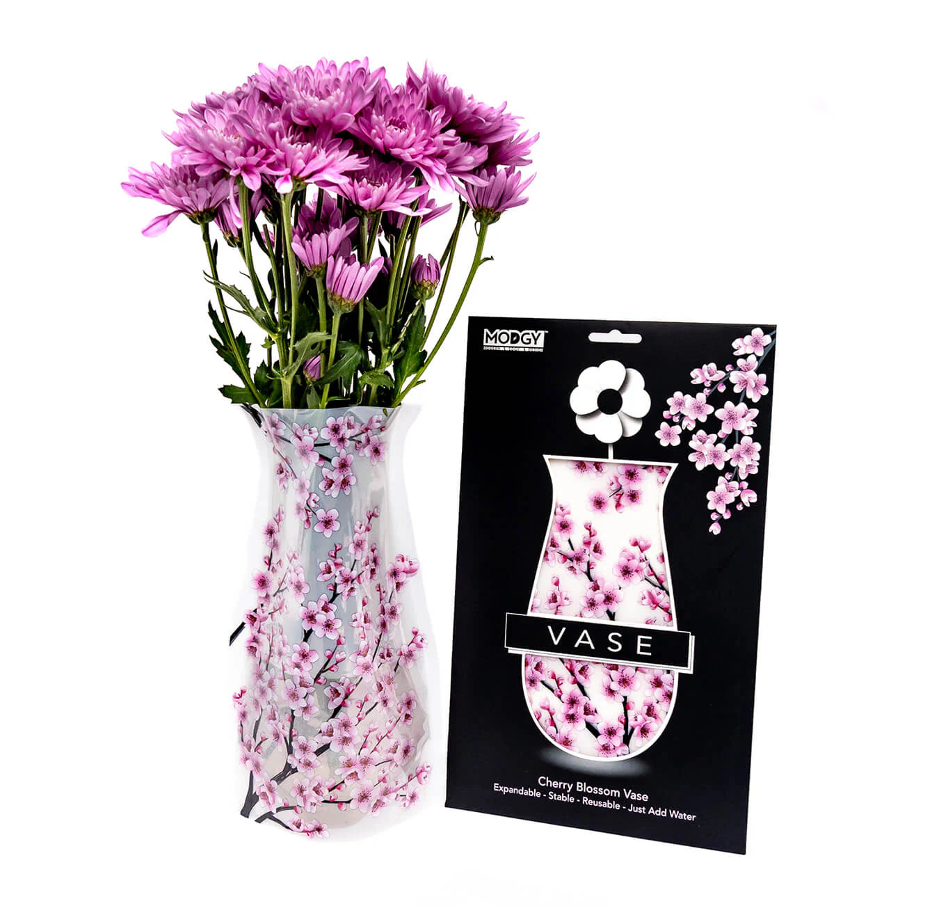 Modgy Vase - Cherry Blossom at ooh la la! in Grapevine TX 76051