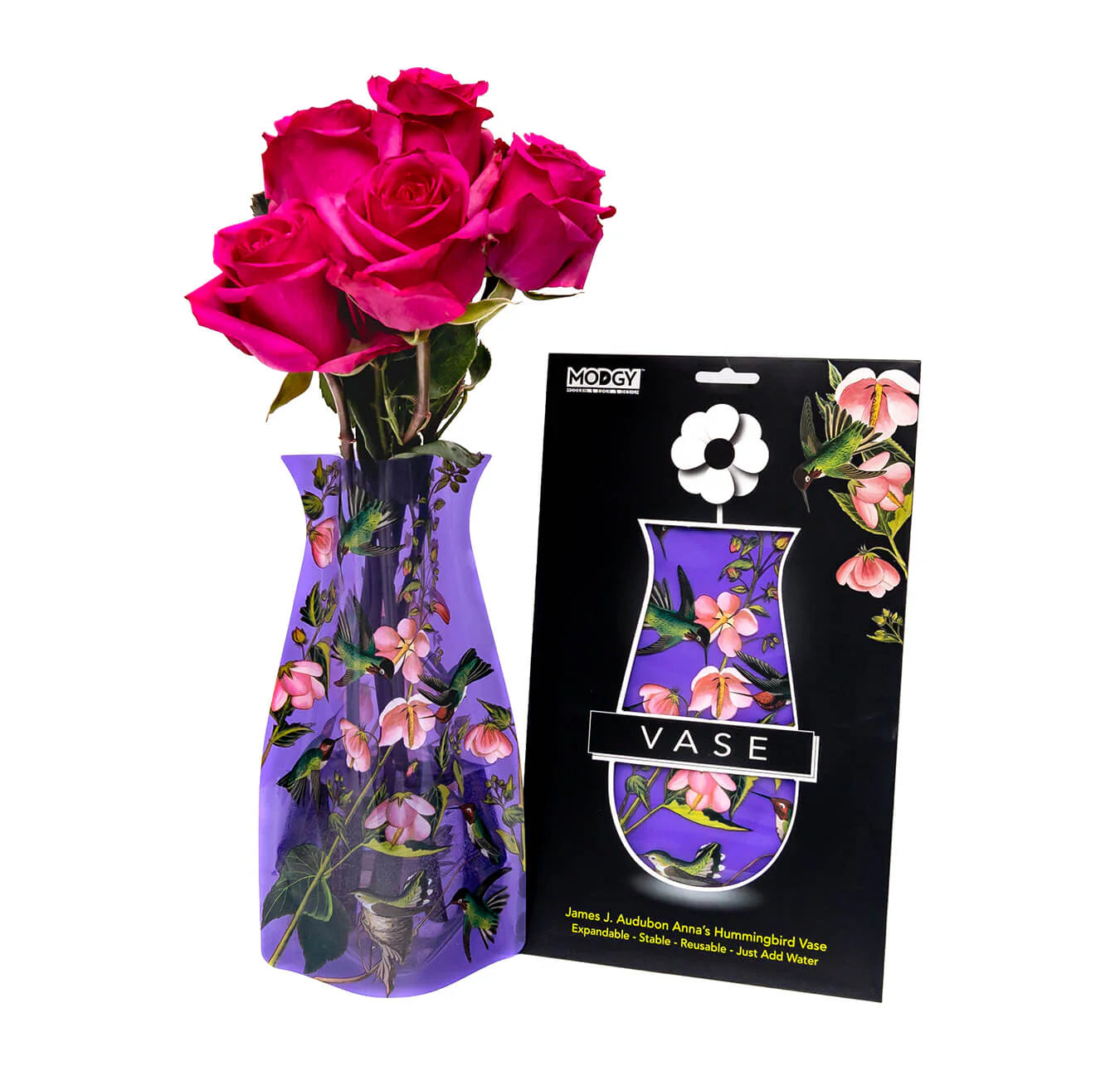 Modgy Vase - Hummingbird at ooh la la! in Grapevine TX 76051