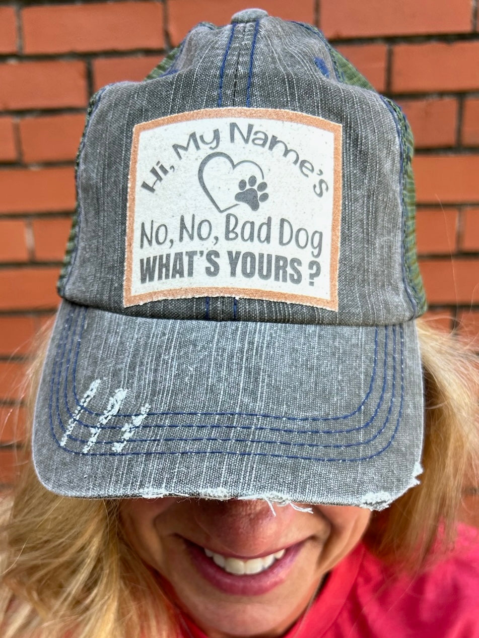 “Hi My Name’s No No Bad Dog WHAT’S YOURS?” ball cap at ooh la la! in Grapevine TX 76051