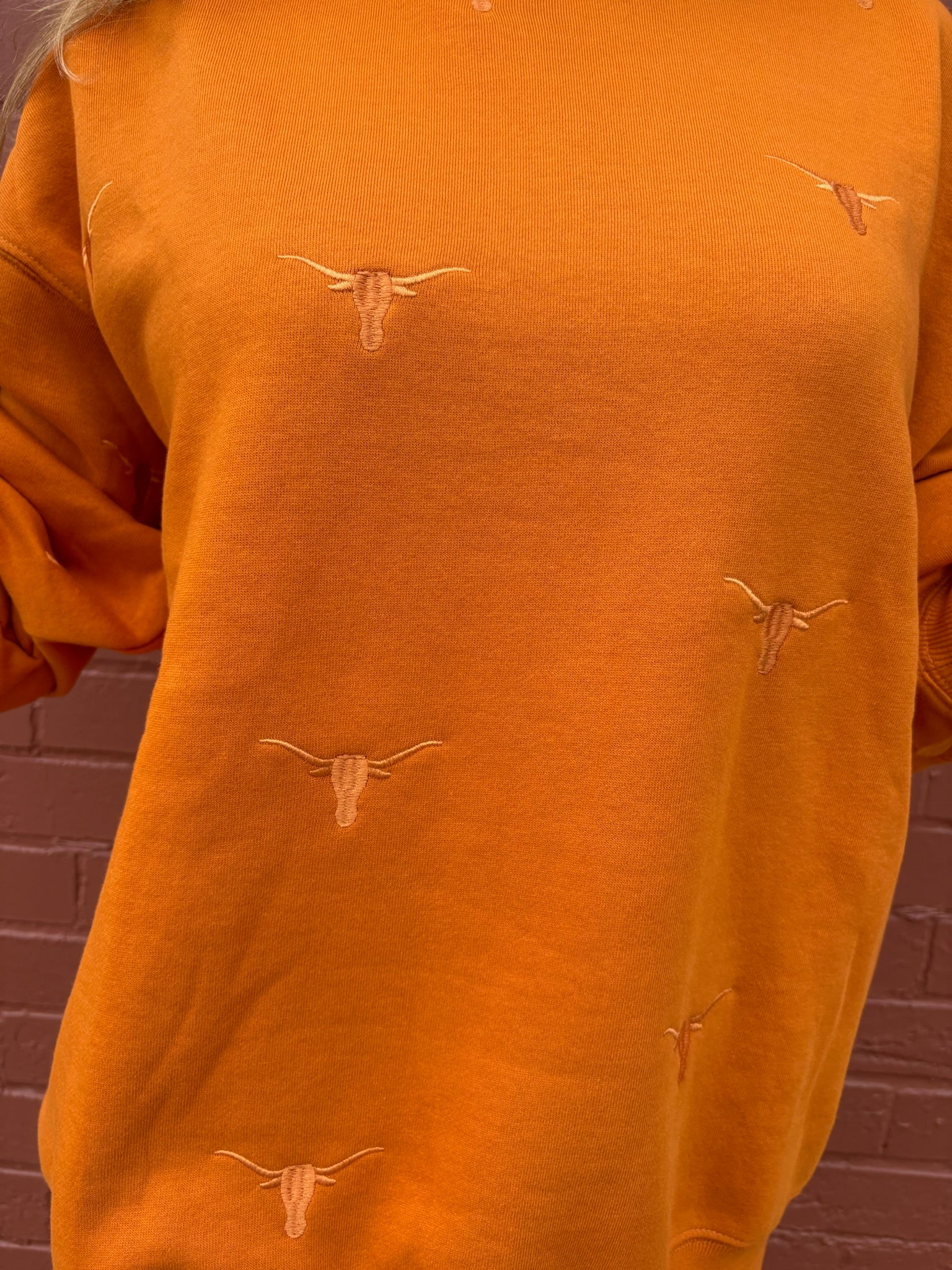 Texas Longhorns Repeat Logo Lantern Sleeve Sweatshirt at ooh la la! in Grapevine TX 76051