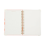 Designworks 13 MO Perpetual Planner - Bold Stripe at Ooh La La! in Grapevine TX 76051