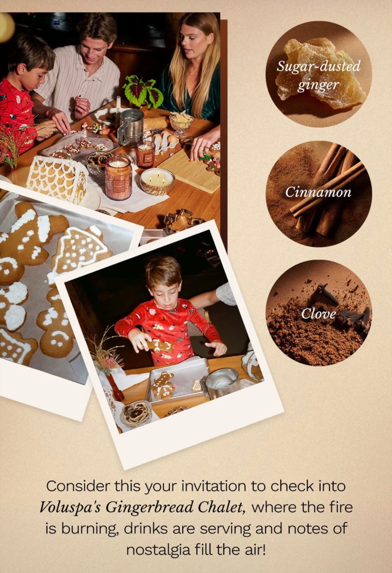 Voluspa Gingerbread Chalet 18 oz Jar Candle At ooh la la! In grapevine TX 76051