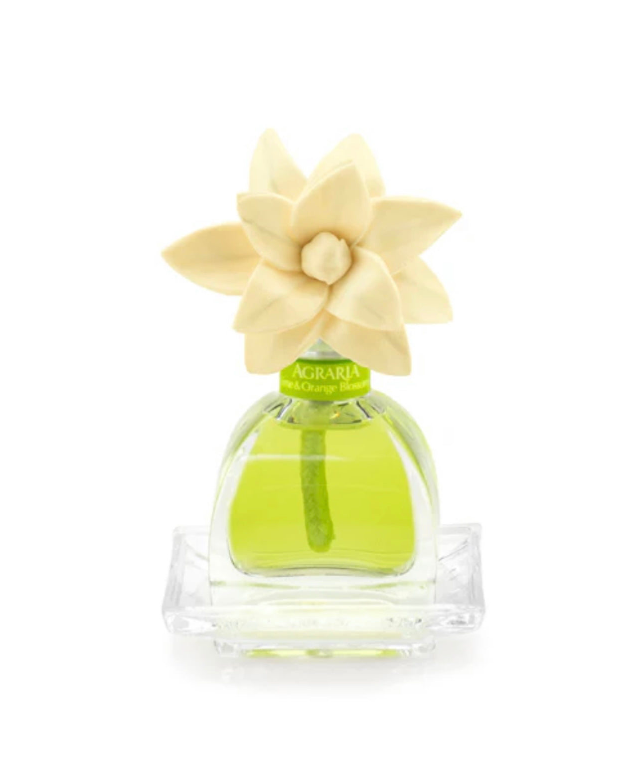 Agraria Lime & Orange Petite Essence at ooh la la! in Grapevine TX 76051