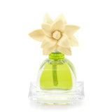 Agraria Lime & Orange Petite Essence at ooh la la! in Grapevine TX 76051