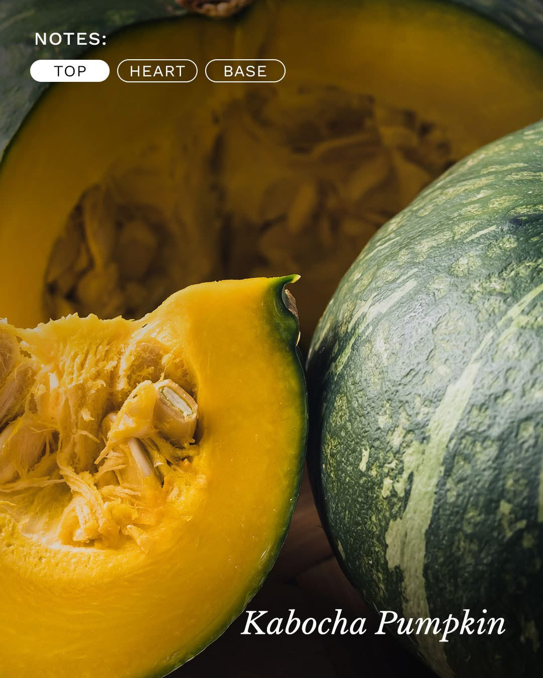 Voluspa Spiced Pumpkin Latte 18 oz Jar Candle at ooh la la! in Grapevine TX 76051