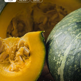 Voluspa Spiced Pumpkin Latte 18 oz Jar Candle at ooh la la! in Grapevine TX 76051