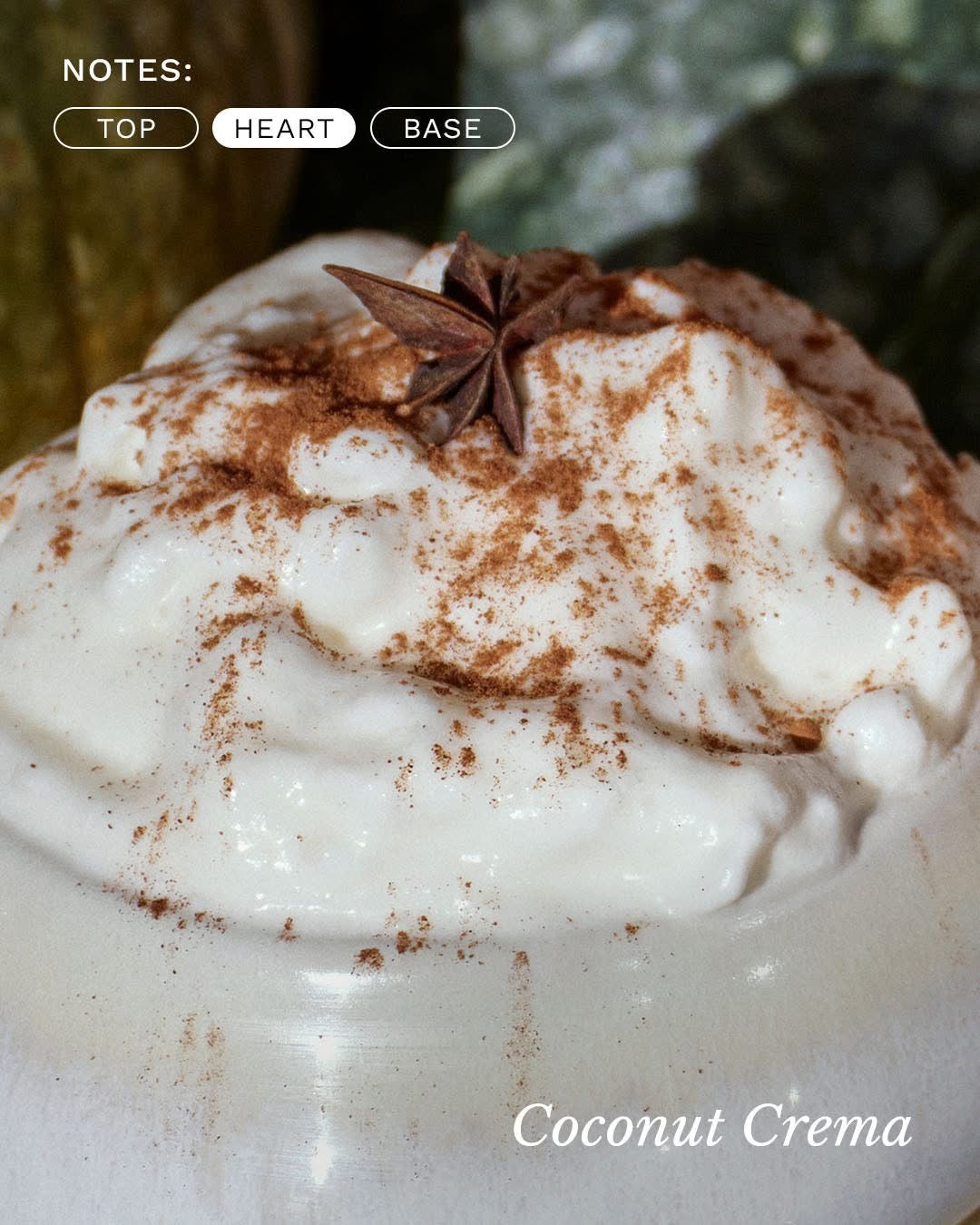 Voluspa Spiced Pumpkin Latte 18 oz Jar Candle at ooh la la! in Grapevine TX 76051