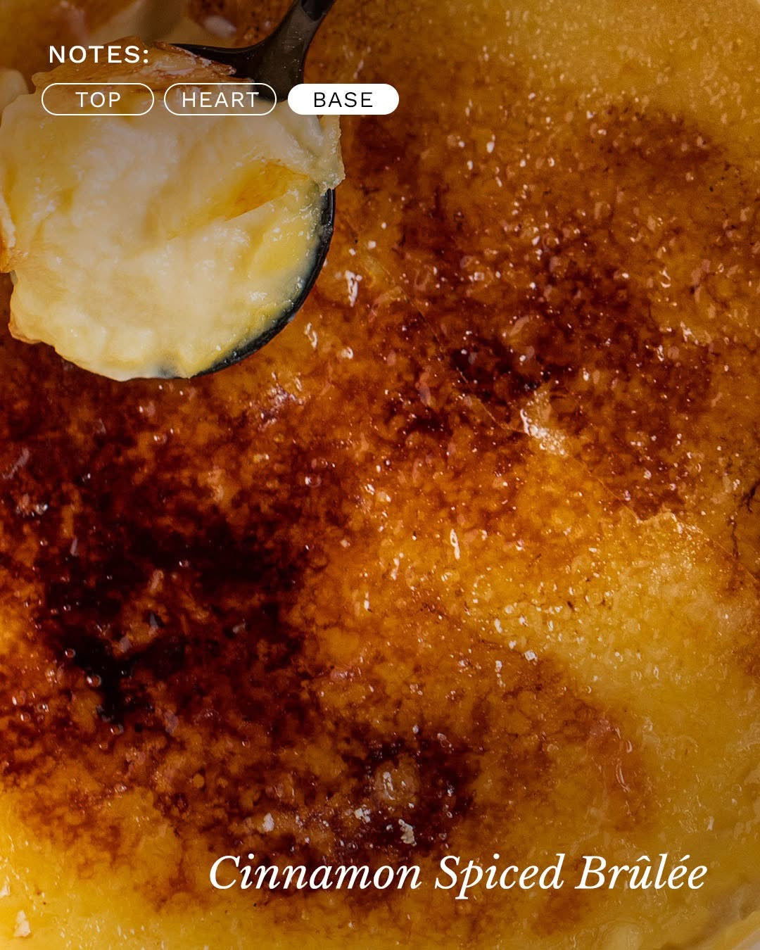 Voluspa Spiced Pumpkin Latte 18 oz Jar Candle at ooh la la! in Grapevine TX 76051