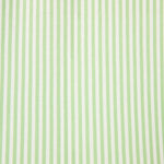 PJ Salvage, Pupcation Palms, Kiwi Stripe, 3-Piece Pajama Set, striped sleepwear, tropical vacation theme at ooh la la! in Grapevine TX 76051