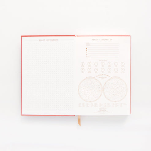 Designworks Metallic Suede Journal at Ooh La La! in Grapevine TX 76051