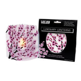 Modgy Luminary Set - Multiple Prints