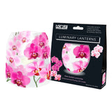Modgy Luminary Set - Multiple Prints