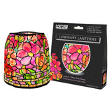 Modgy Luminary Set - Pink Peony at ooh la la! in Grapevine TX 76051