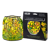 Modgy Luminary Set - Multiple Prints