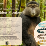 The Fahlo Swing Bracelet - Golden Monkey at ooh la la! in Grapevine TX 76051