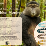 The Fahlo Swing Bracelet - Golden Monkey at ooh la la! in Grapevine TX 76051