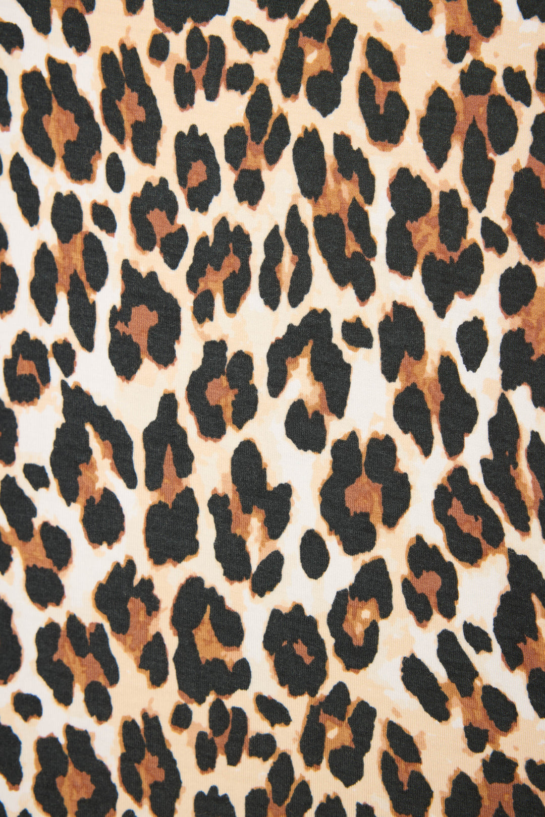 PJ Salvage Holiday Dreams Leopard Print Shorts Set at ooh la la! in Grapevine TX 76051