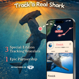 The Fahlo 2026 Discovery Shark Week™ Voyage Bracelet - Hammerhead