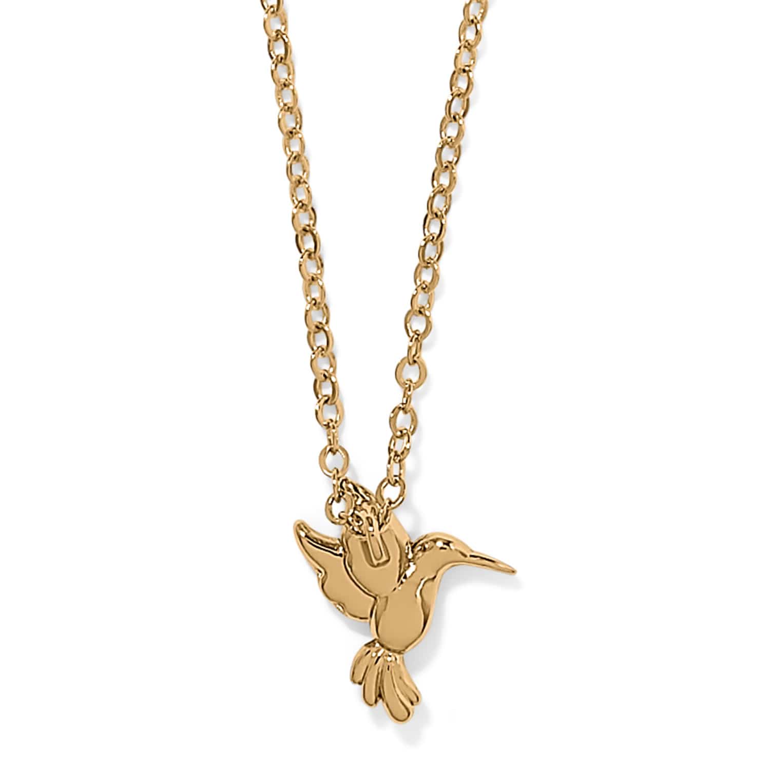 Gold hummingbird pendant necklace with delicate chain on white background