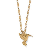 Gold hummingbird pendant necklace with delicate chain on white background