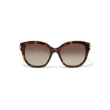 Intrigue Tortoise Sunglasses