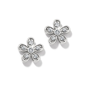 Brighton Enchanting Flower Post Earrings in silver at ooh la la! in Grapevine TX 76051