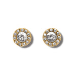 Brighton Illumina Solitaire Gold Post Earrings at ooh la la! in Grapevine TX 76051
